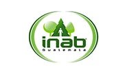 logos colaboradores_0037_inab-min